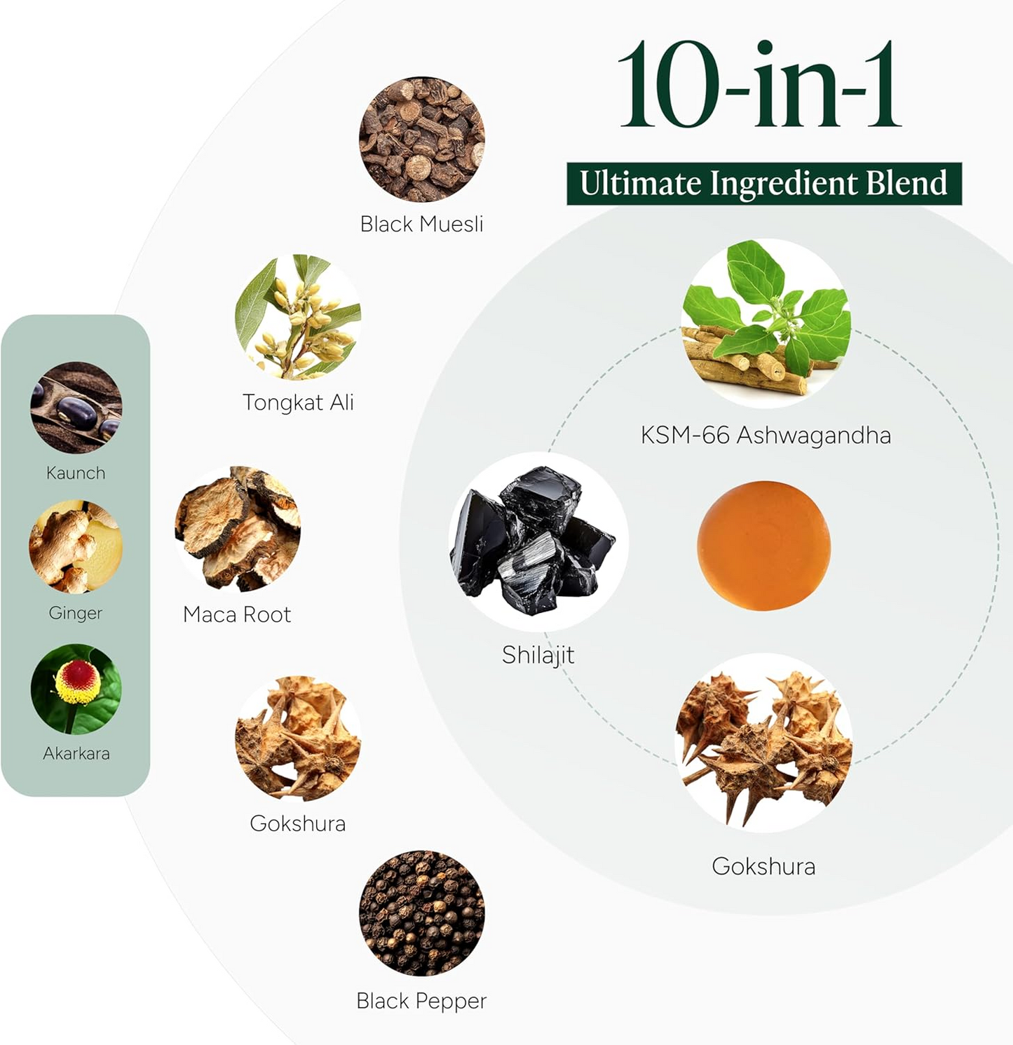 PureNutra® 10-1 Alpha Gummies
