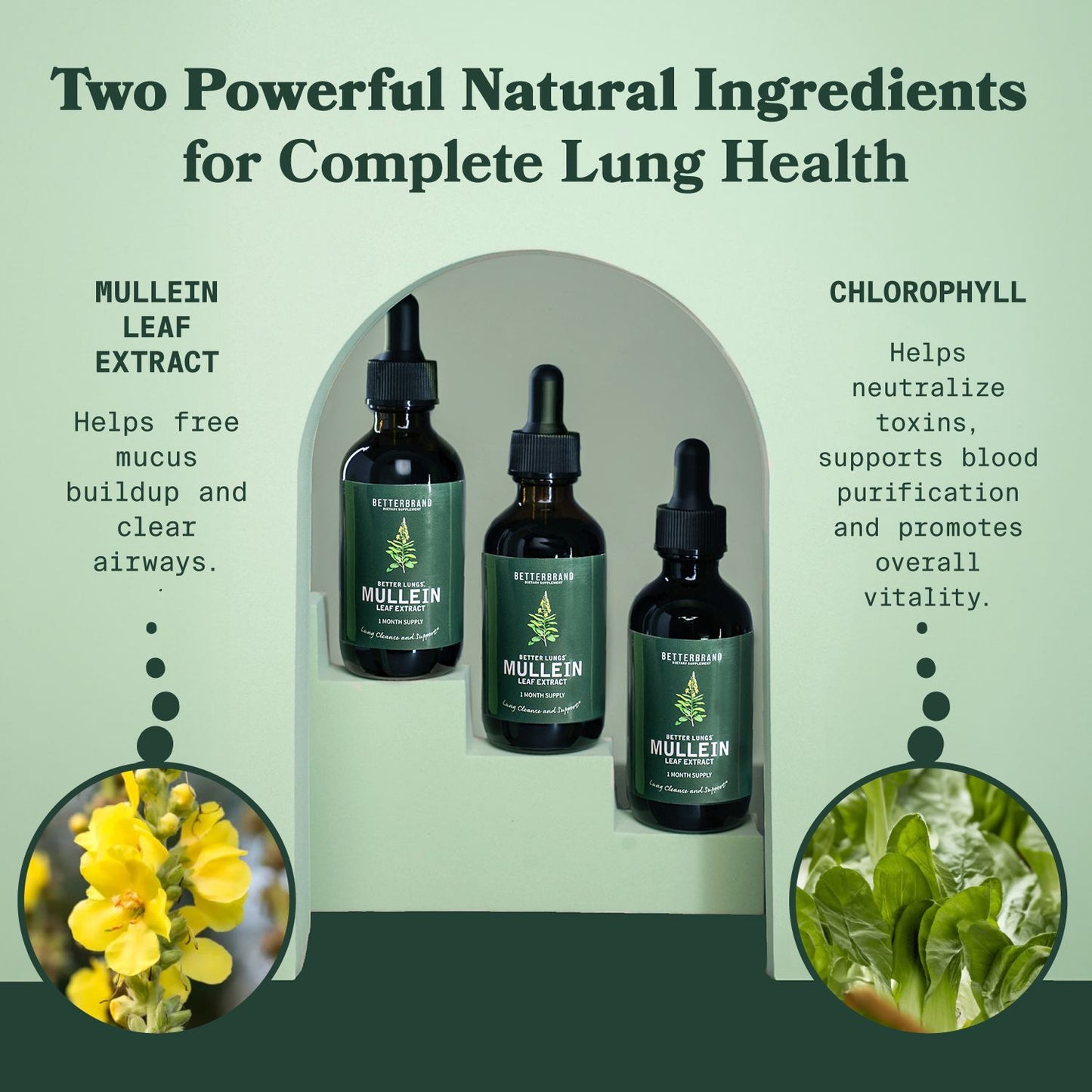 BetterLungs Herbal Breathing Boost