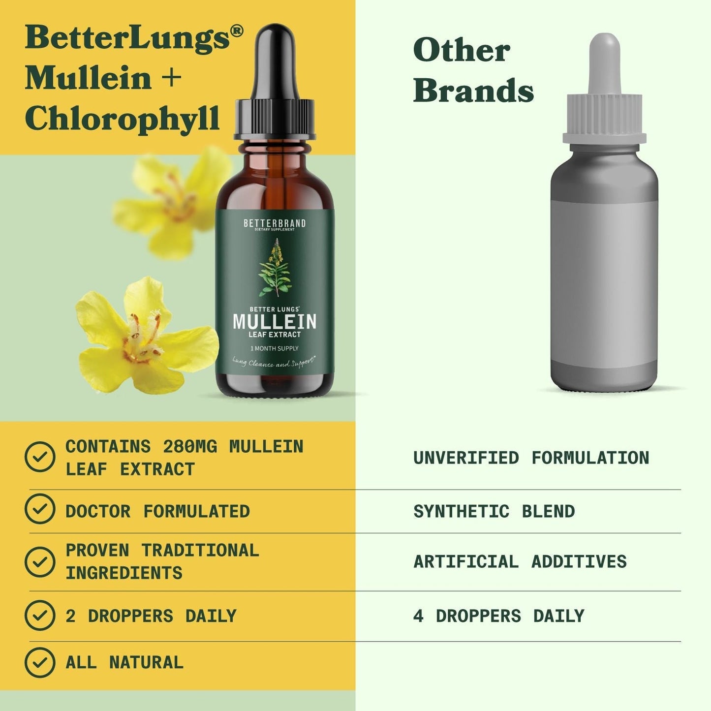 BetterLungs Herbal Breathing Boost